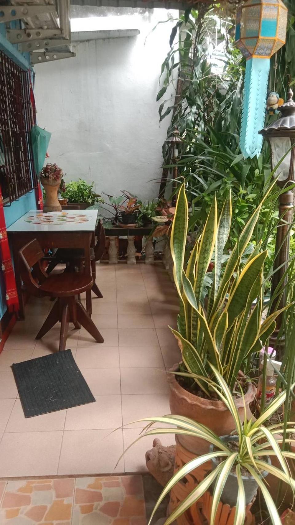 הוסטל צ'יאנג מאי Saithong House מראה חיצוני תמונה